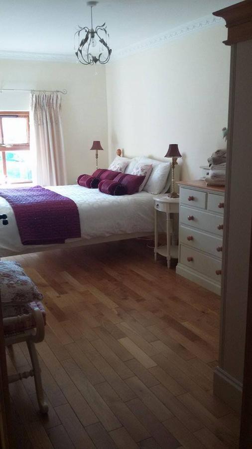Hazel Cottage Limerick Junction 部屋 写真